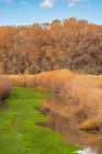 USA, New Mexico, Bosque Del Apache National Wildlife Refuge. Stream and forest in autumn. Art Print